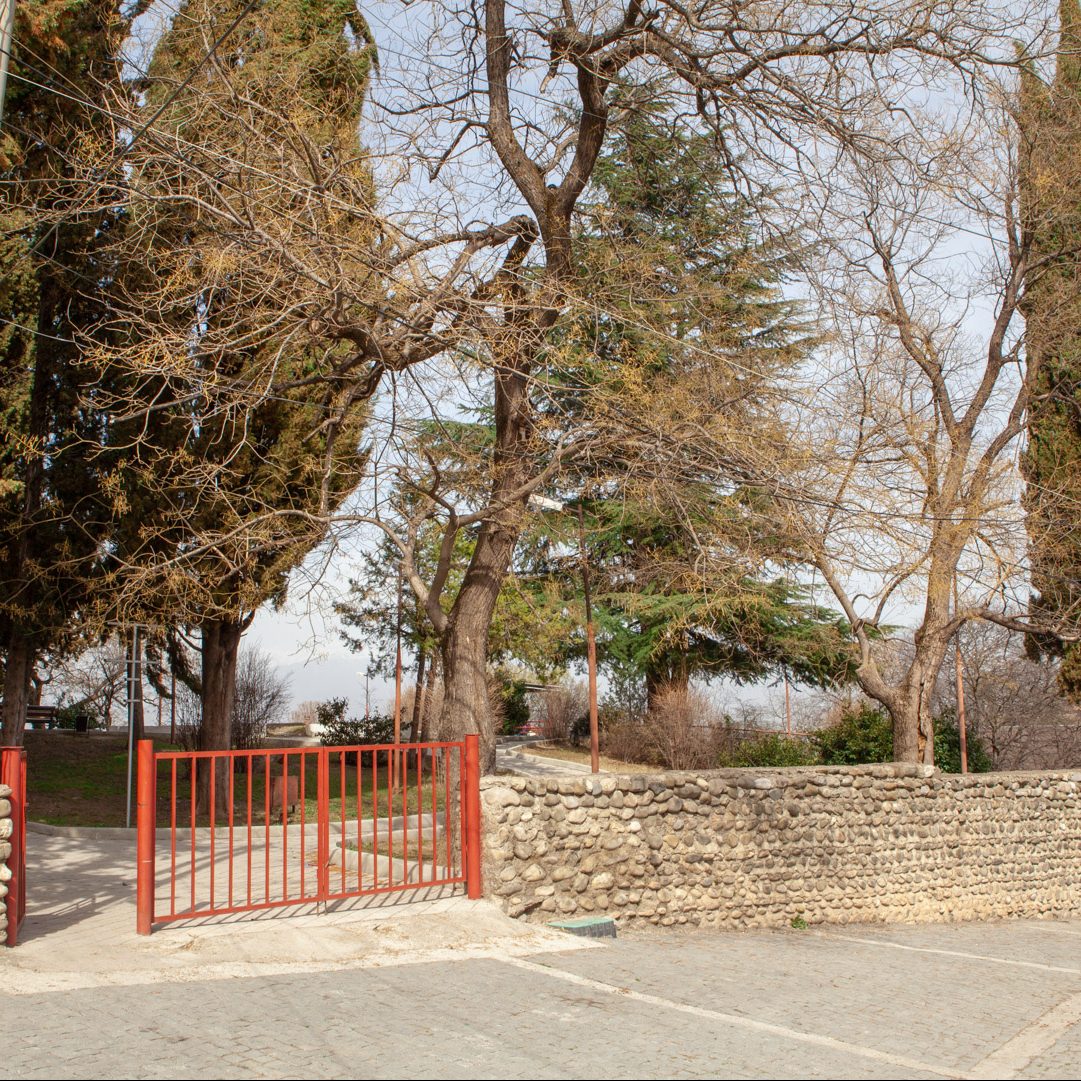 yadoris-bghi-2-e1651336959550